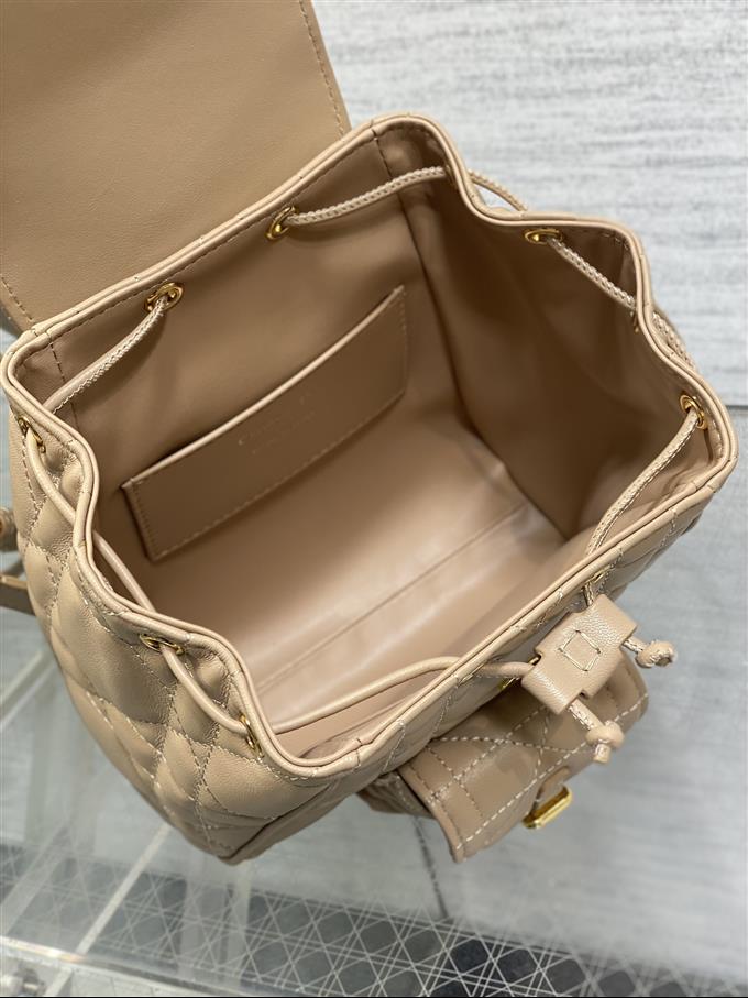 2025228Y800P203352737