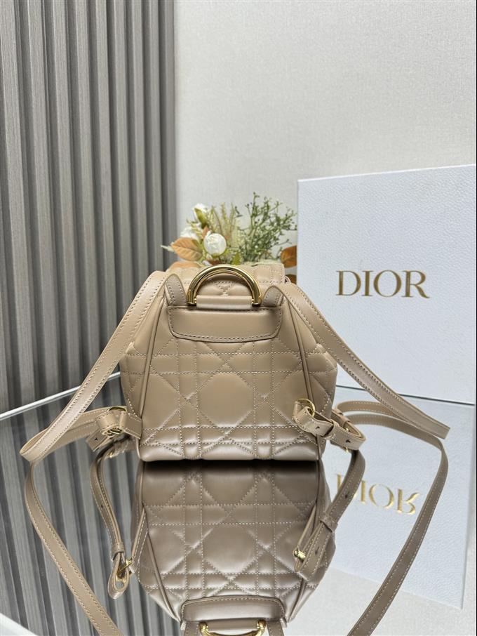 2025228Y800P203355618