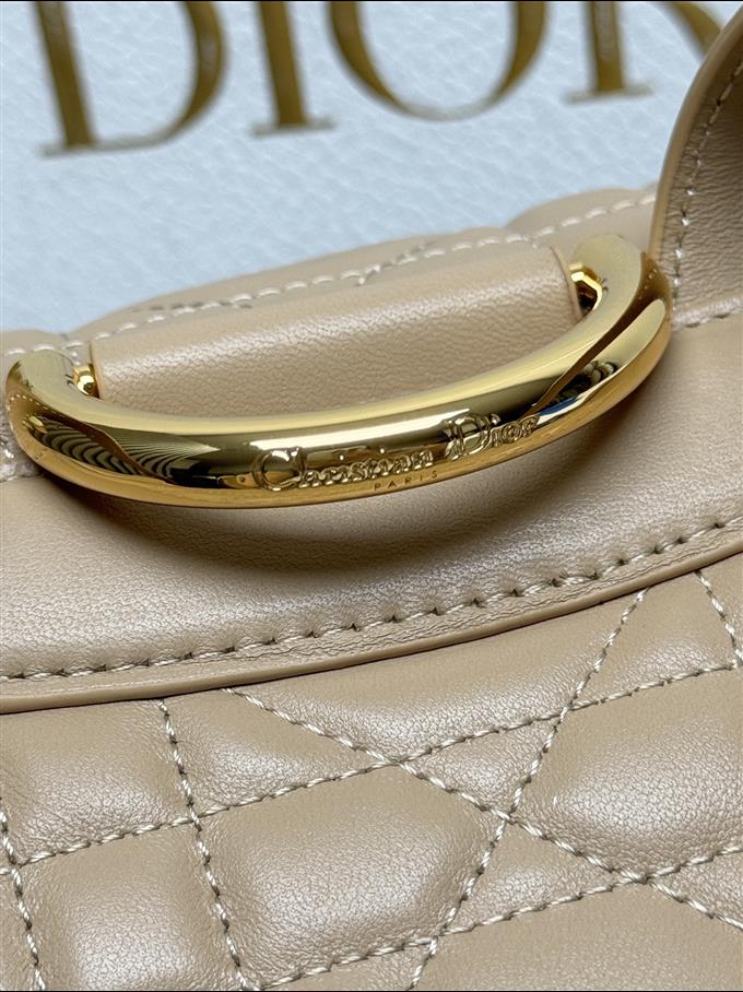 2025228Y800P203355634