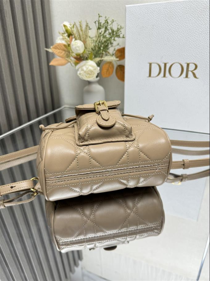 2025228Y800P203355649