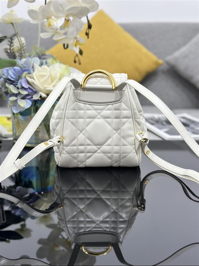 2025228Y800P203434358