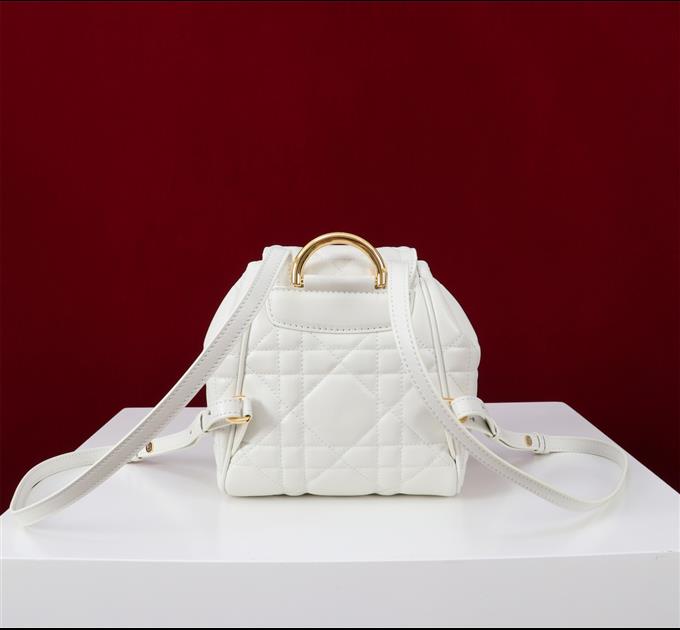 2025228Y800P203434795