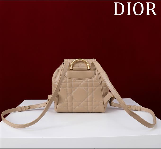 2025228Y800P203435503