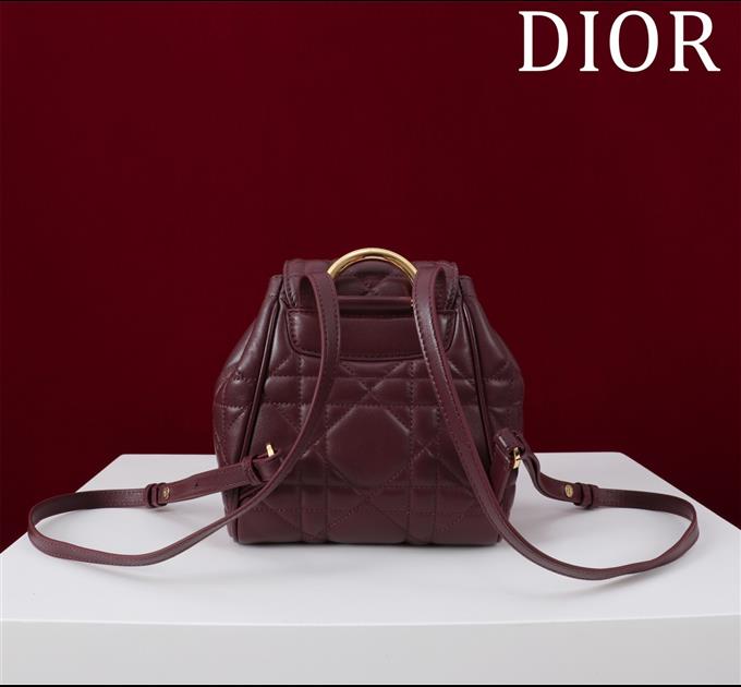 2025228Y800P20343577