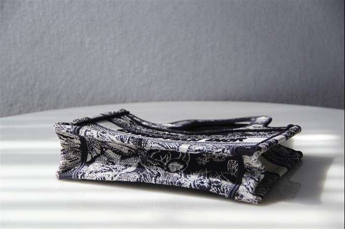 2025228Y480P203758820