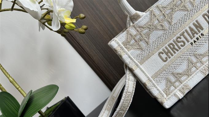 2025228Y480P212212479