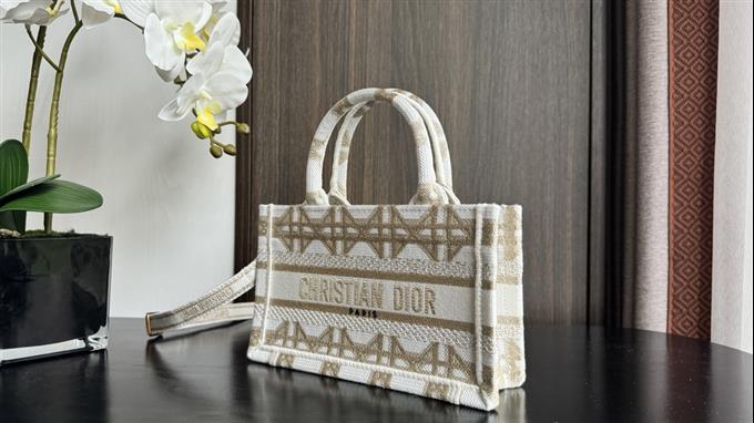 2025228Y480P212212495