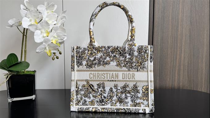 2025228Y500P203831765