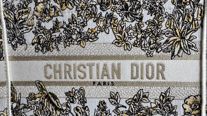 2025228Y500P203831780