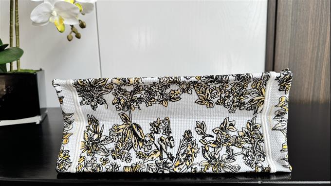 2025228Y500P203831858