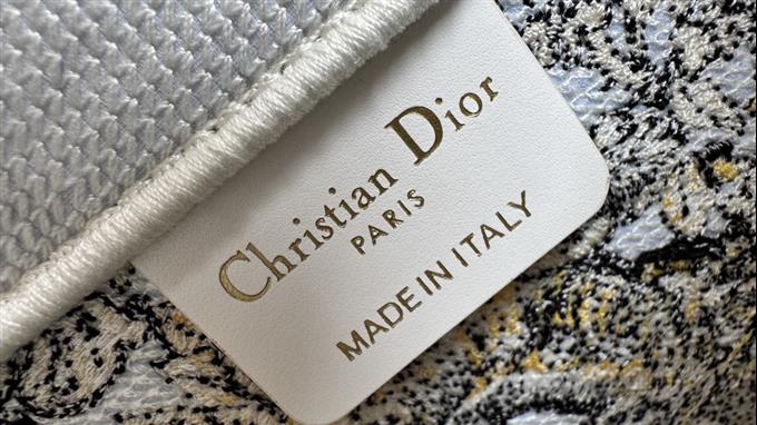 2025228Y500P203831889