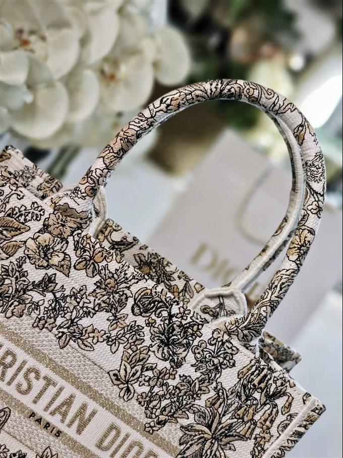 2025228Y500P203831937