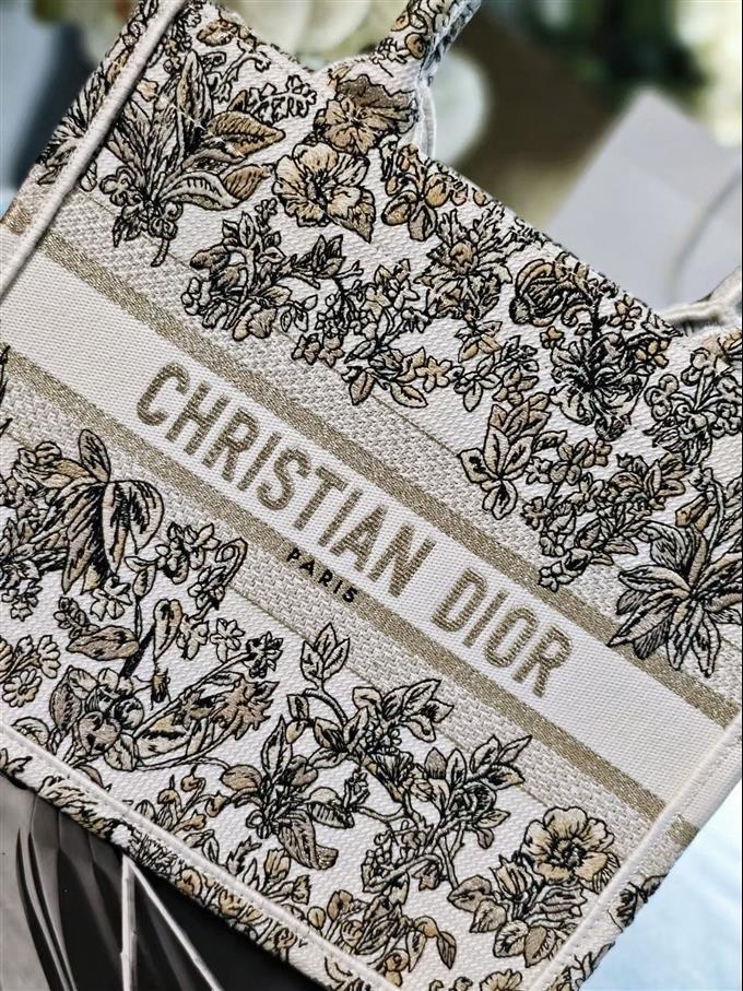 2025228Y500P203831952