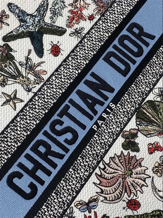 2025228Y500P212152818