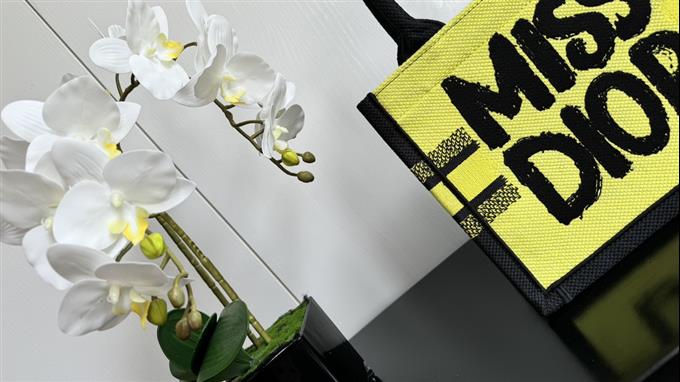 2025228Y520P203749386