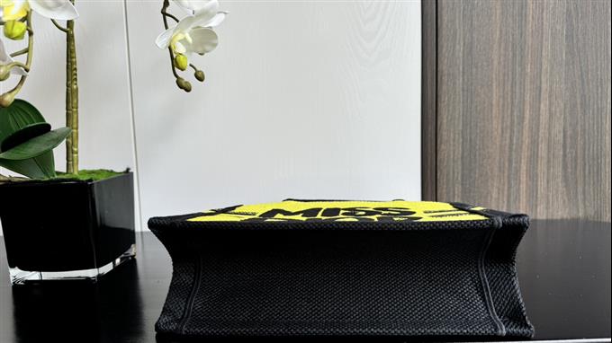 2025228Y520P203749449