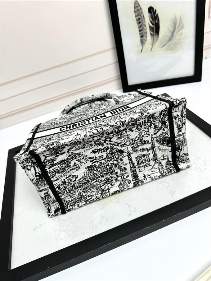 2025228Y550P203749966