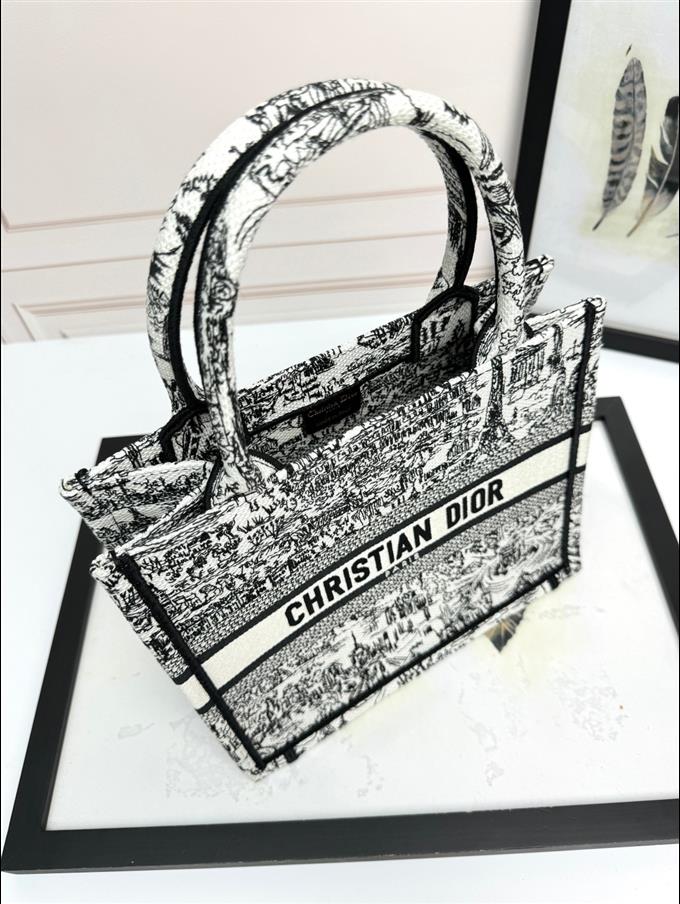 2025228Y550P203749982