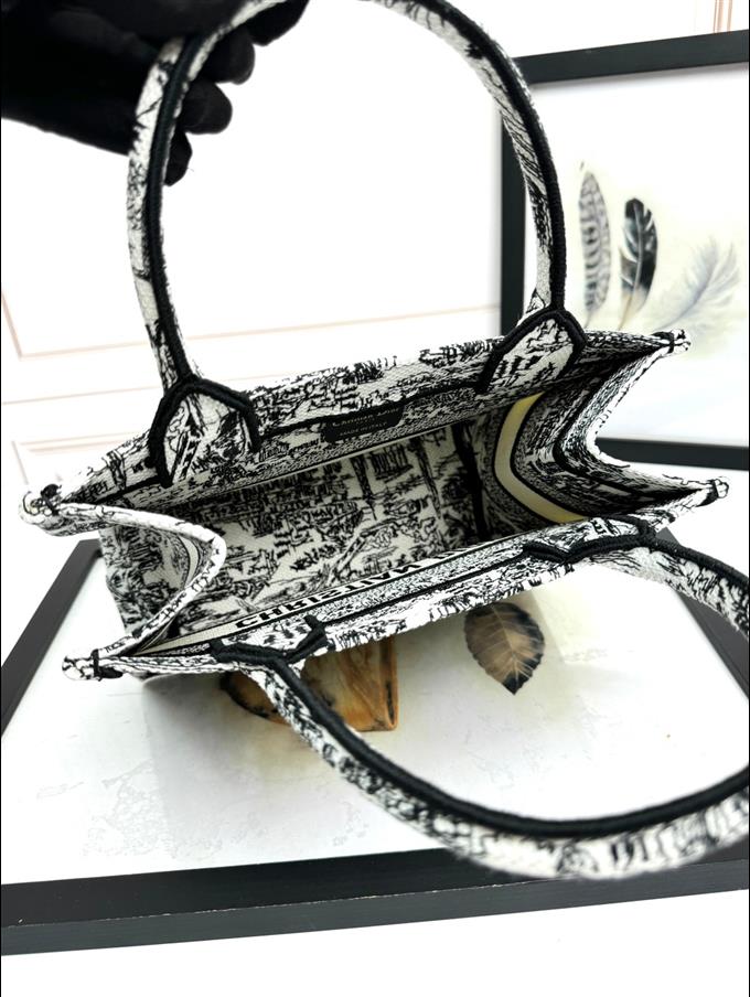 2025228Y550P203749997