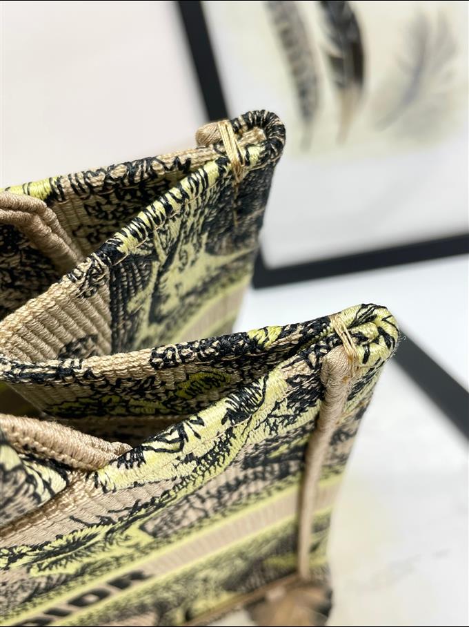 2025228Y550P203750282