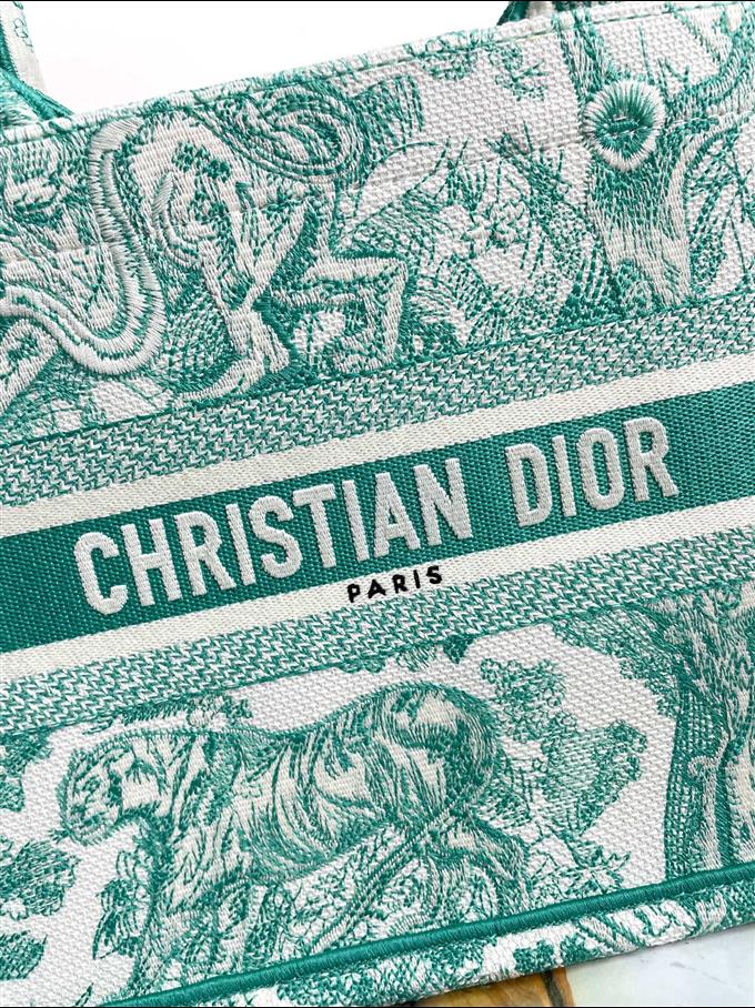 2025228Y550P203750857