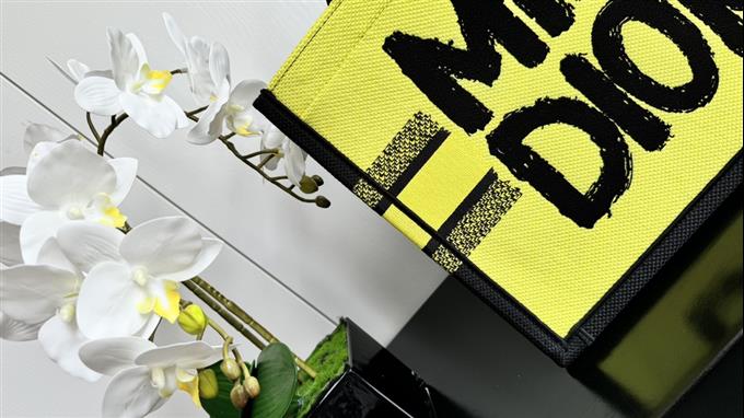 2025228Y550P203751482