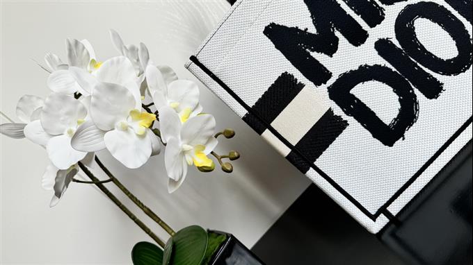 2025228Y550P203751638