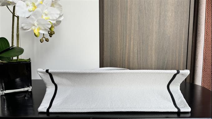 2025228Y550P203751685