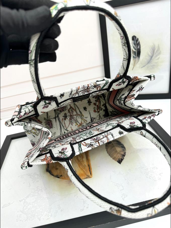 2025228Y550P20381341