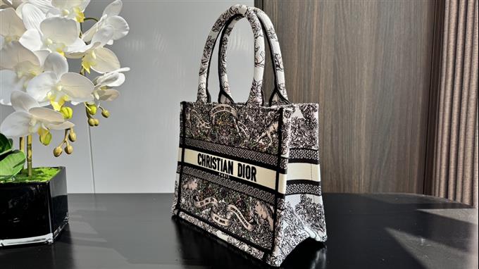 2025228Y550P20381893