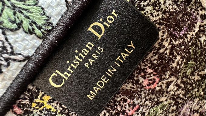 2025228Y550P20381971