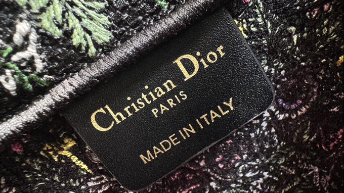 2025228Y550P20382112