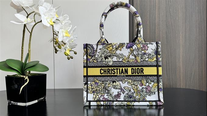 2025228Y550P20382411