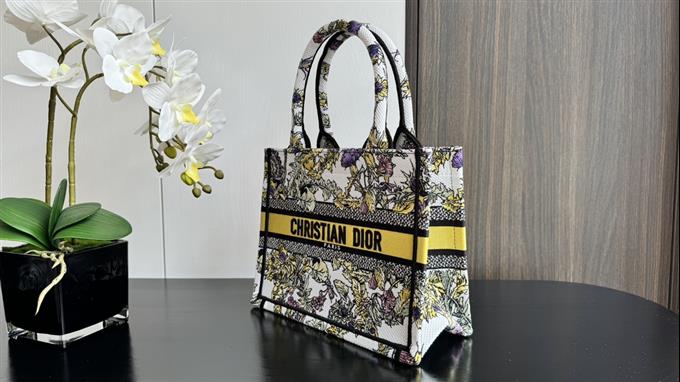 2025228Y550P20382458