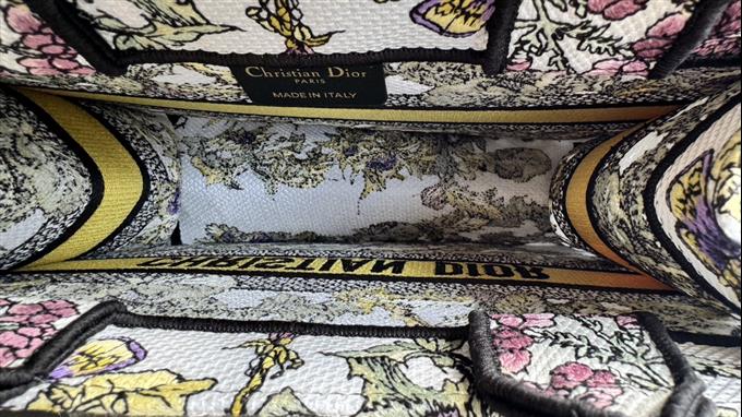 2025228Y550P20382519