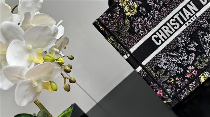 2025228Y550P20382582