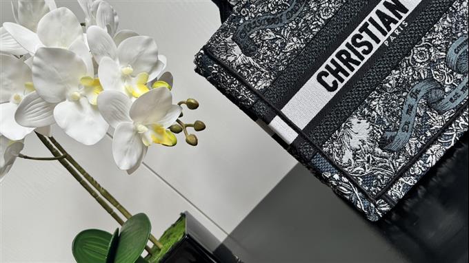 2025228Y550P20382868