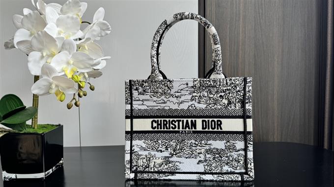 2025228Y550P20383264