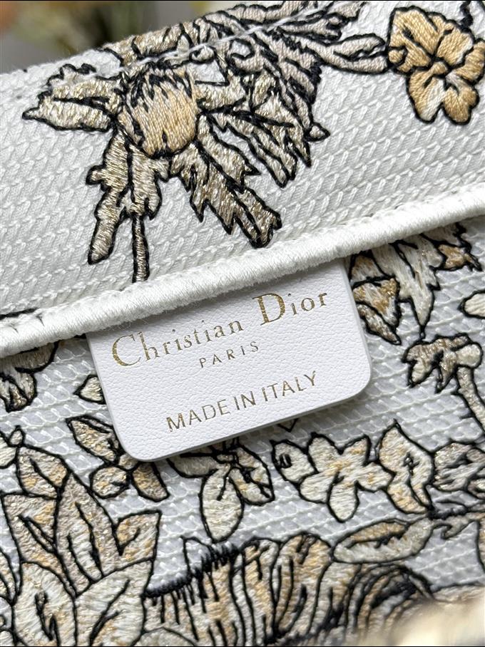 2025228Y550P203832862