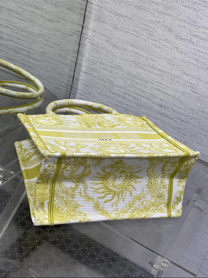 2025228Y550P20384351