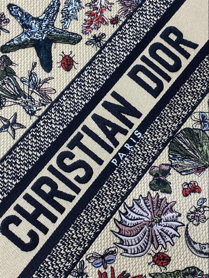 2025228Y550P212155102