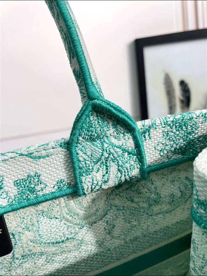 2025228Y580P203753294