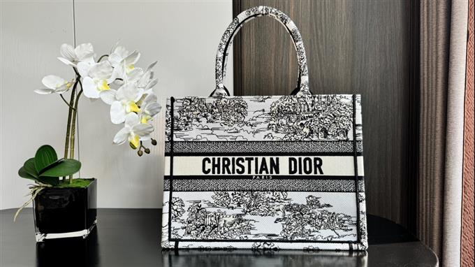 2025228Y580P203810624