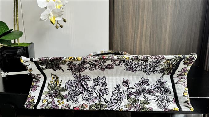 2025228Y580P20381116