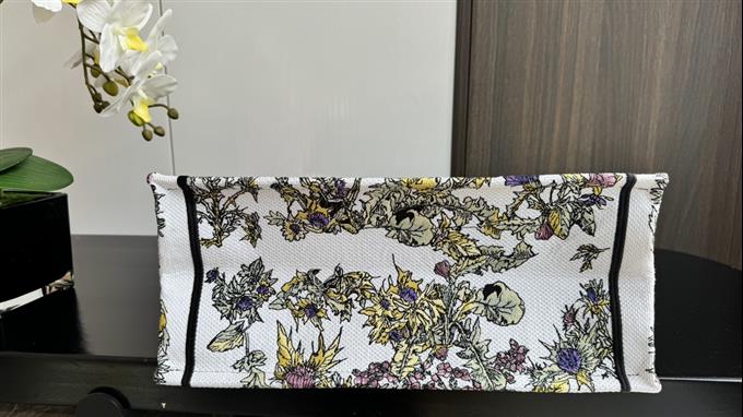 2025228Y580P203812431