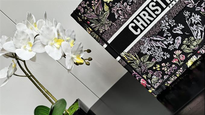 2025228Y580P203812789