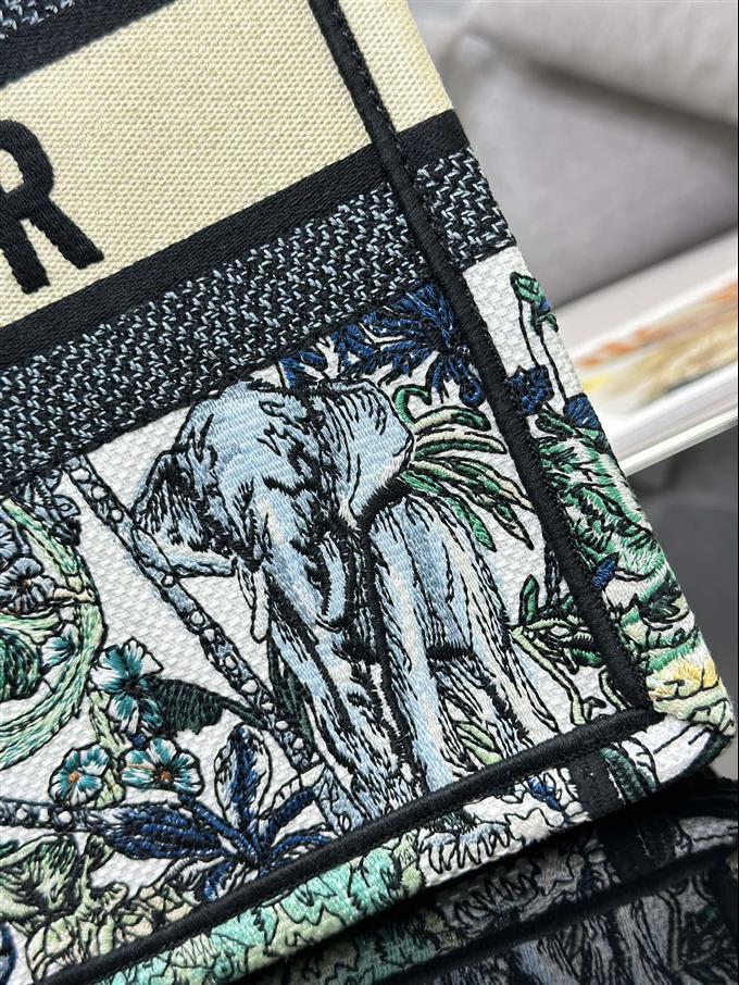 2025228Y580P203816109