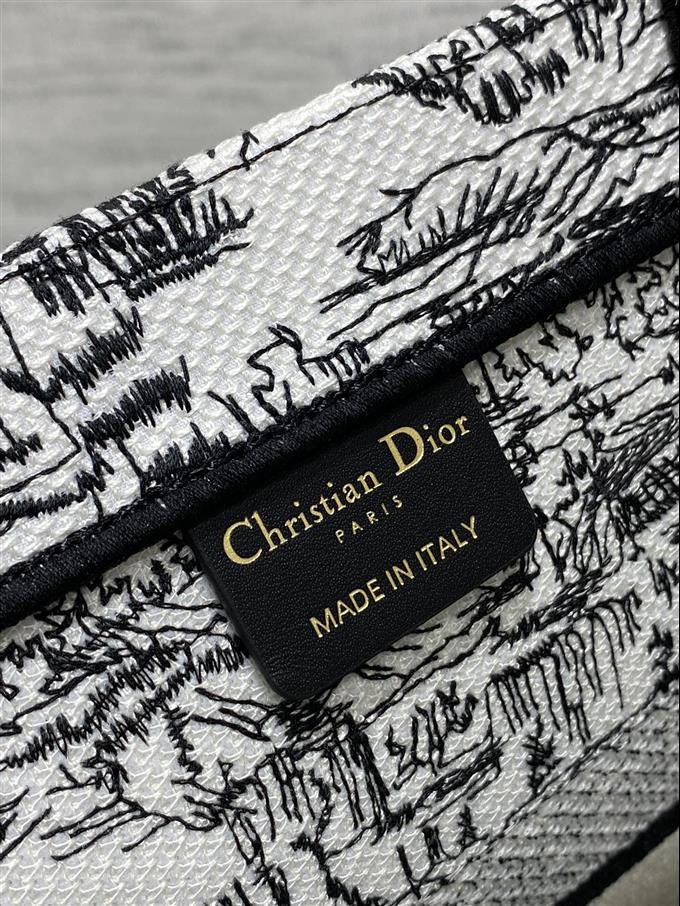 2025228Y580P203816421