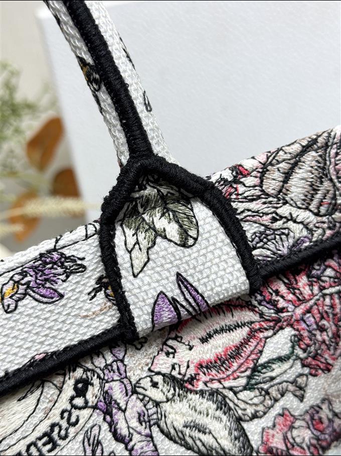 2025228Y580P203816948