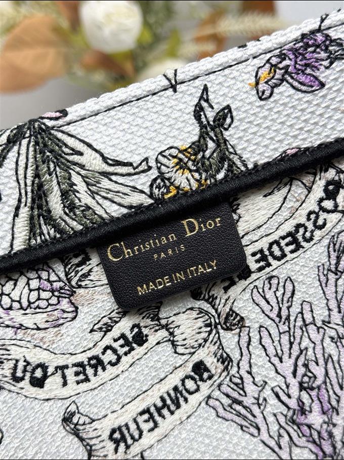 2025228Y580P203816964